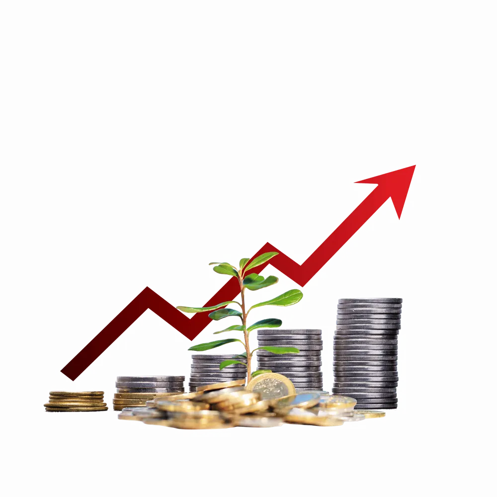 Investment growth