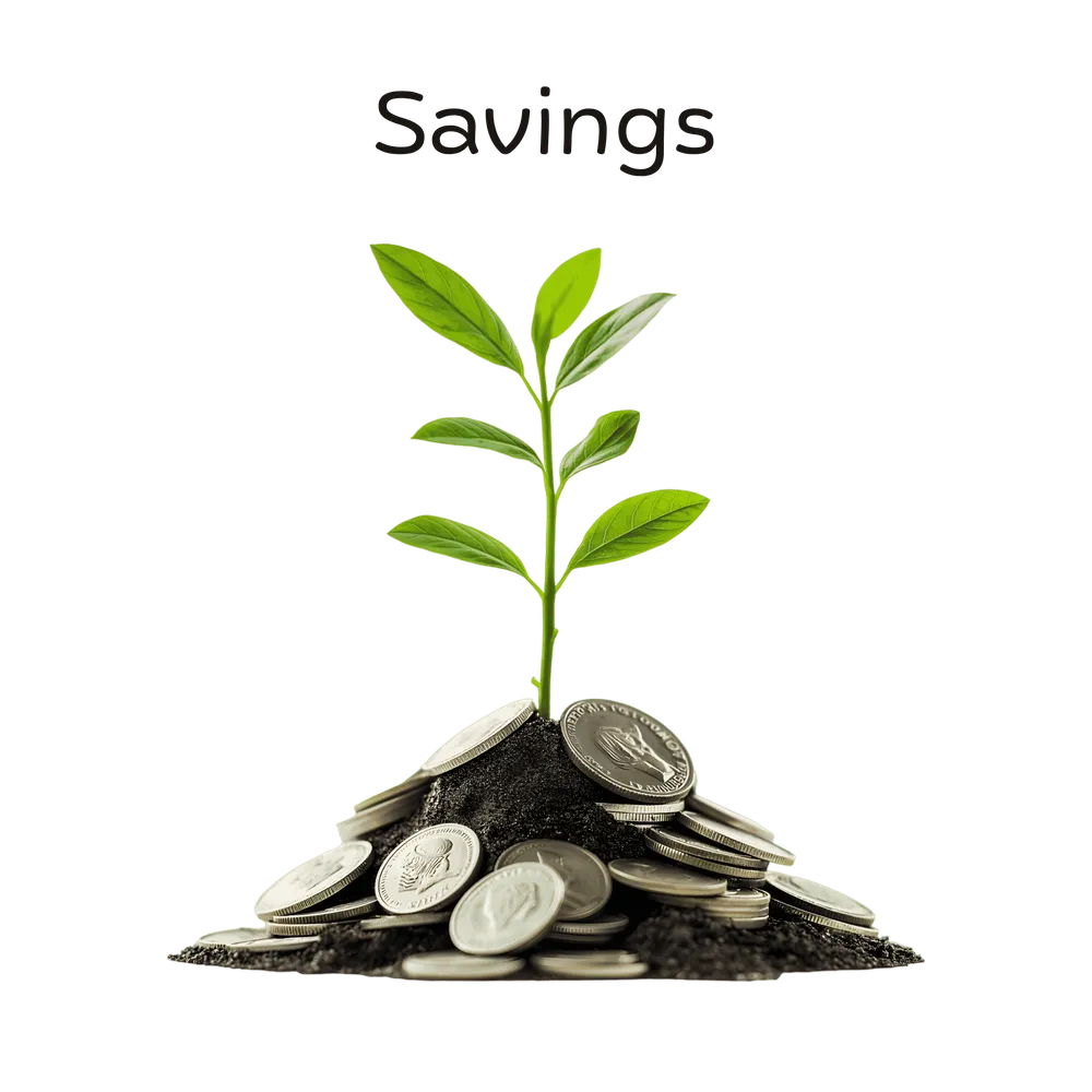 Savings. Watch your money grow